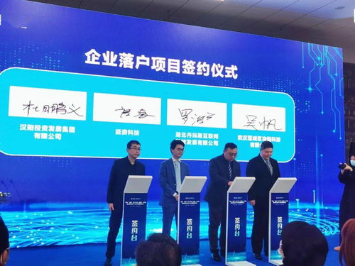 漢陽星火鏈網(wǎng)骨干節(jié)點(diǎn)上線暨武漢星火數(shù)字產(chǎn)業(yè)大樓揭牌儀式圓滿落幕，為投資房地產(chǎn)注入數(shù)字新動(dòng)能