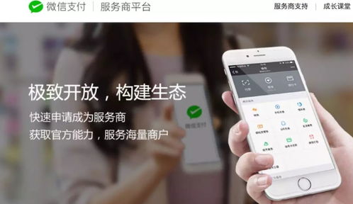 江蘇中理網絡科技 服務商定位、準入路徑與網絡技術服務解析